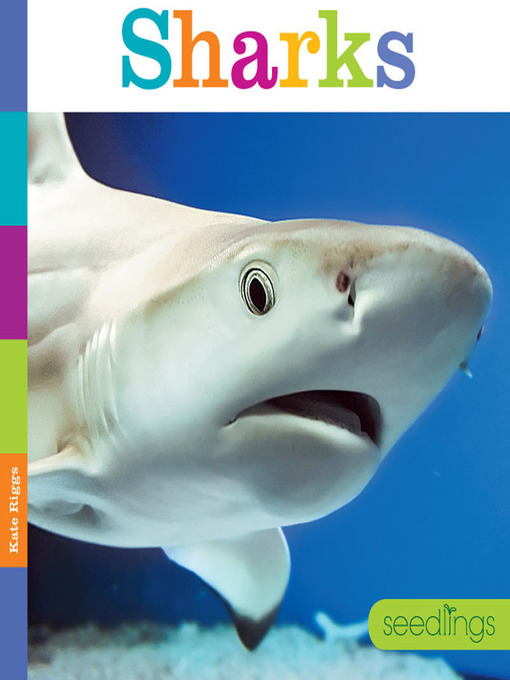 Title details for Sharks by Kate Riggs - Available